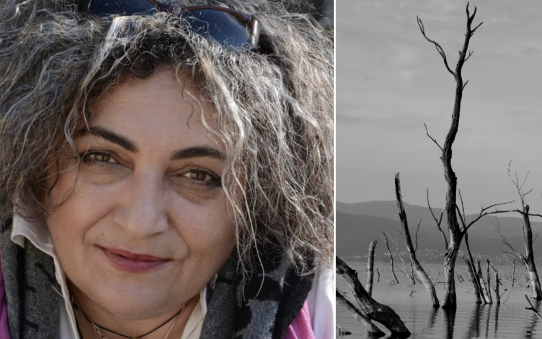 Despoina Apostolidou: The silent witness — where light remembers